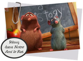 rencontre de deux rats